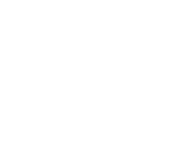 Logo - Custard Apples Australia