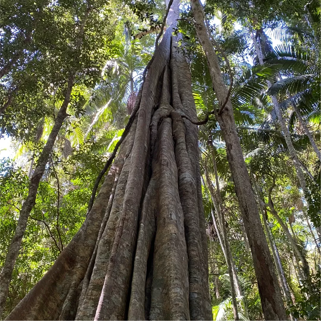 Hinterland walks in nature